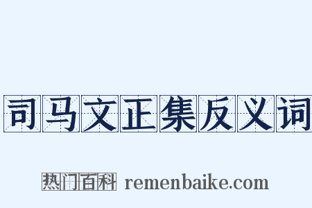 司马文正集反义词是什么意思的图片